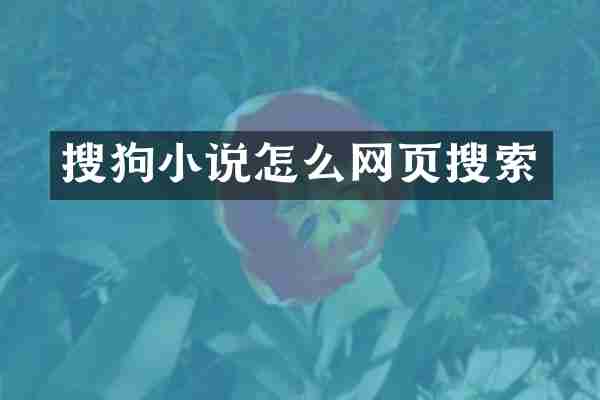 搜狗小说怎么网页搜索