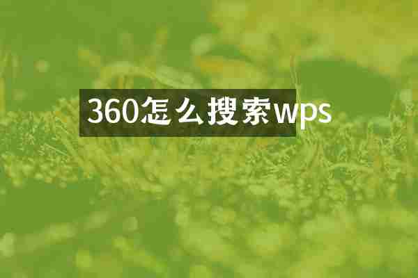 360怎么搜索wps