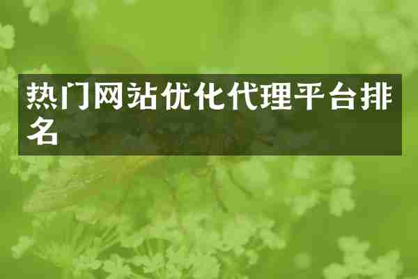 热门网站优化代理平台排名