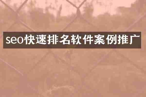 seo快速排名软件案例推广