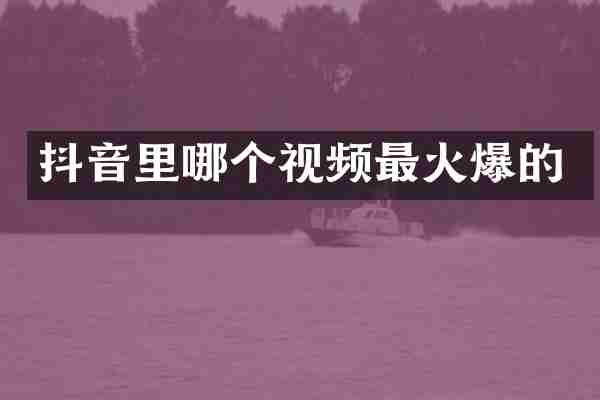 抖音里哪个视频最火爆的