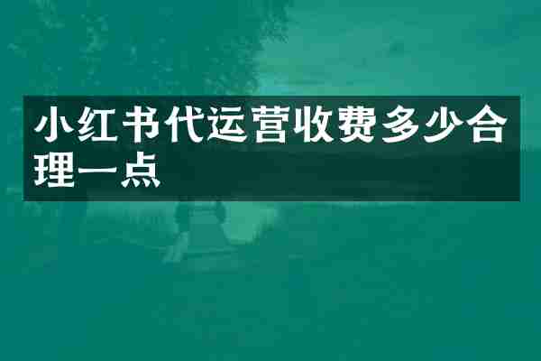 小红书收费多少合理一点