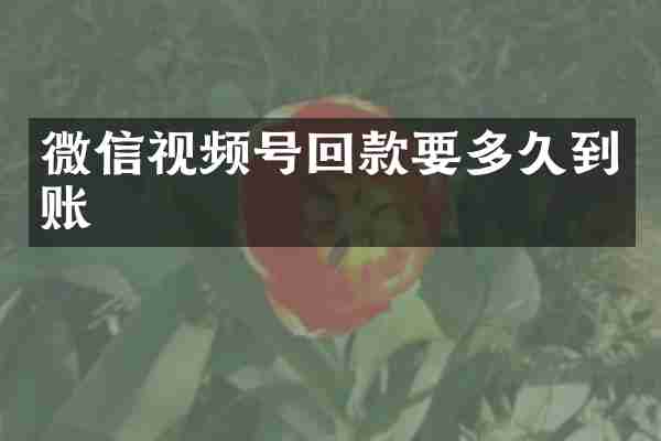 微信视频号回款要多久到账