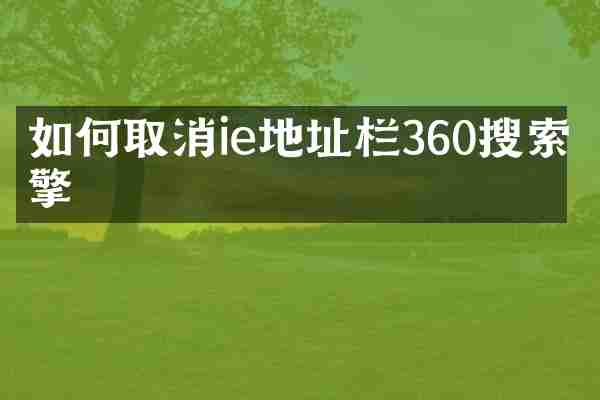 如何取消ie地址栏360搜索引擎