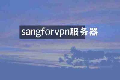 sangforvpn服务器