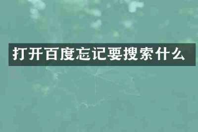 打开百度忘记要搜索什么