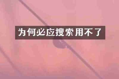 为何必应搜索用不了