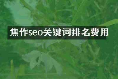 焦作seo关键词排名费用