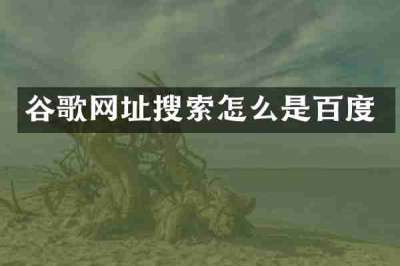 谷歌网址搜索怎么是百度