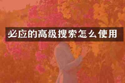 必应的高级搜索怎么使用