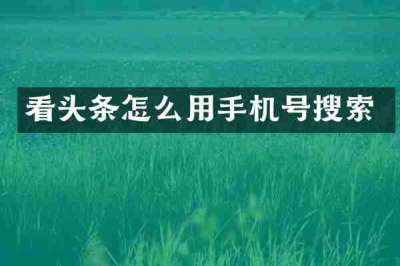 看头条怎么用手机号搜索