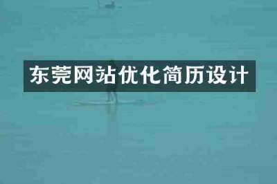 东莞网站优化简历设计