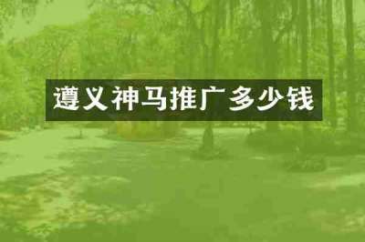 遵义神马推广多少钱