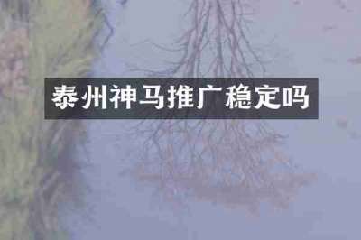 泰州神马推广稳定吗