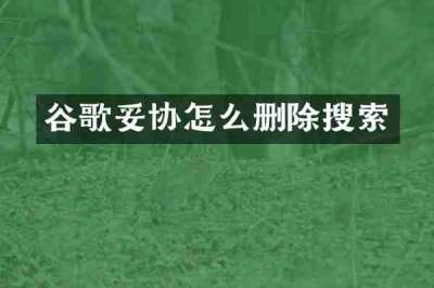 谷歌妥协怎么删除搜索