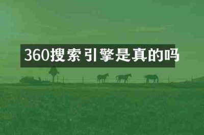 360搜索引擎是真的吗