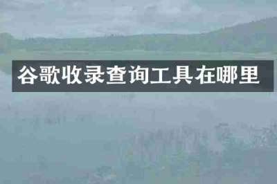 谷歌收录查询工具在哪里