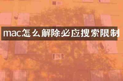 mac怎么解除必应搜索限制