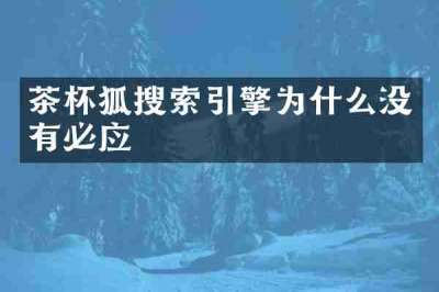 茶杯狐搜索引擎为什么没有必应