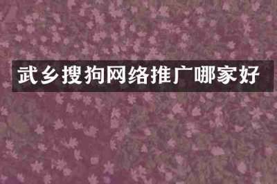 武乡搜狗网络推广哪家好