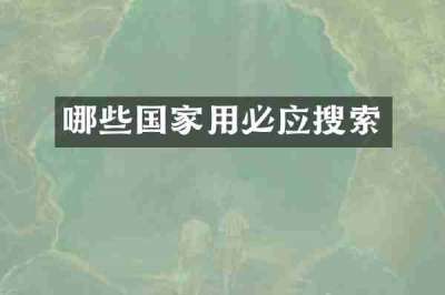 哪些国家用必应搜索