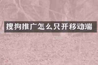 搜狗推广怎么只开移动端