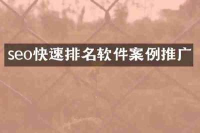 seo快速排名软件案例推广