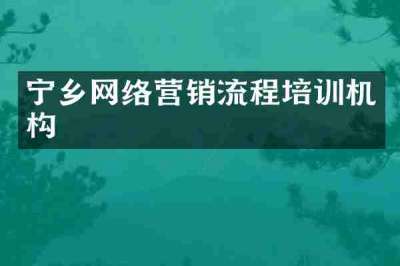 宁乡网络营销流程培训机构