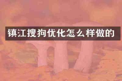 镇江搜狗优化怎么样做的