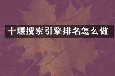十堰搜索引擎排名怎么做