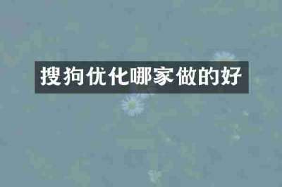 搜狗优化哪家做的好