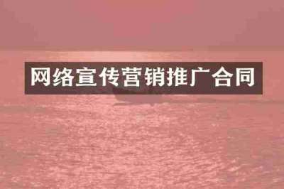 网络宣传营销推广合同