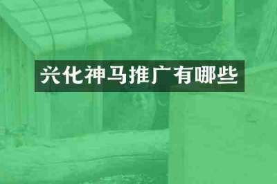 兴化神马推广有哪些