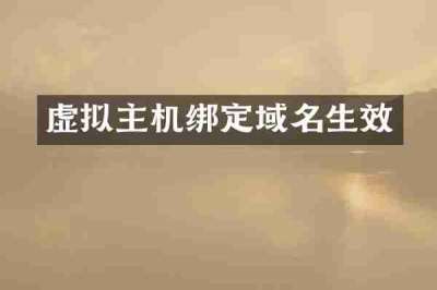 虚拟主机绑定域名生效