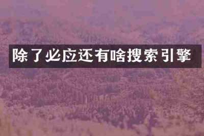 除了必应还有啥搜索引擎