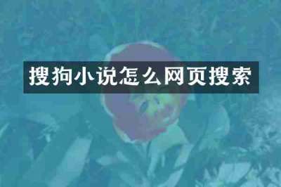 搜狗小说怎么网页搜索