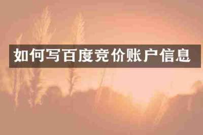 如何写百度竞价账户信息