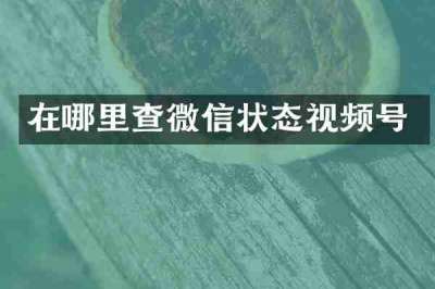 在哪里查微信状态视频号