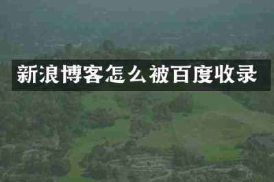 新浪博客怎么被百度收录
