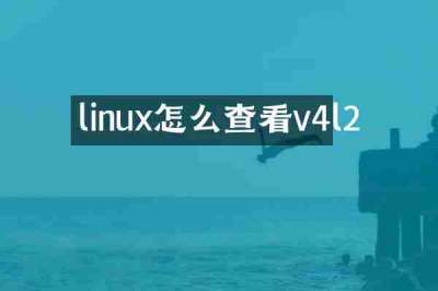 linux怎么查看v4l2
