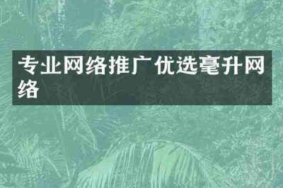 专业网络推广优选毫升网络