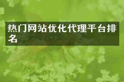 热门网站优化代理平台排名