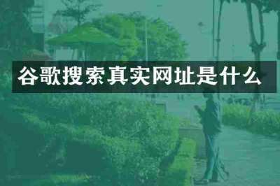 谷歌搜索真实网址是什么