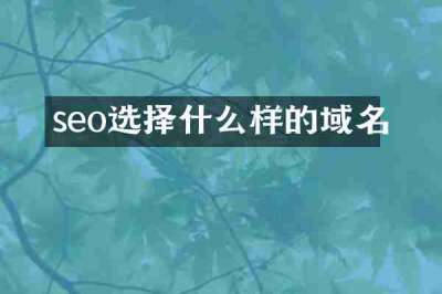 seo选择什么样的域名