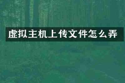 虚拟主机上传文件怎么弄