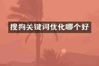 搜狗关键词优化哪个好