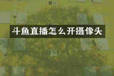 斗鱼直播怎么开摄像头