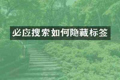 必应搜索如何隐藏标签