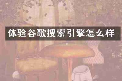 体验谷歌搜索引擎怎么样