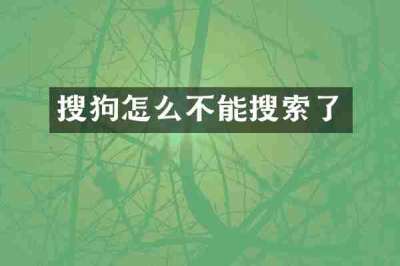 搜狗怎么不能搜索了